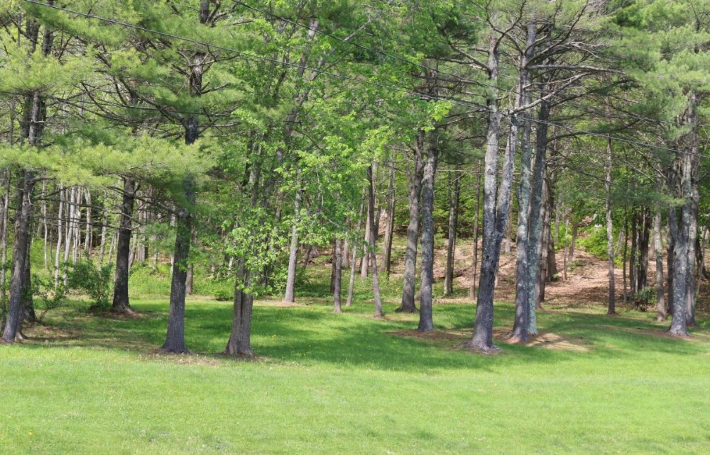 Bucksport Inn Image 13