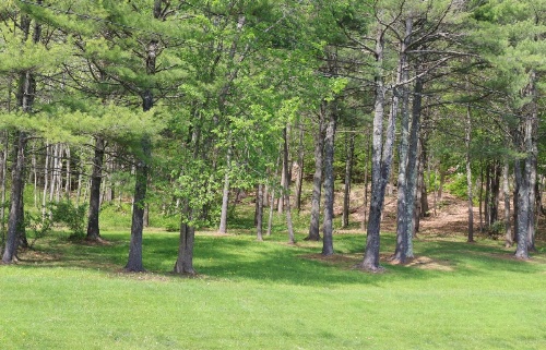 Bucksport Inn image 13