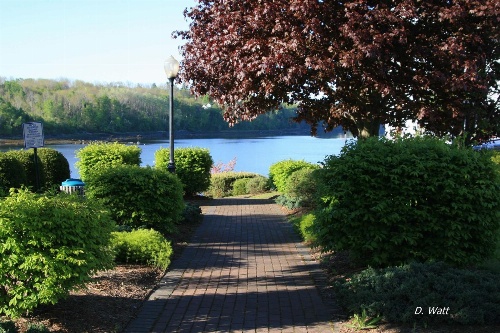 Bucksport Inn image 2